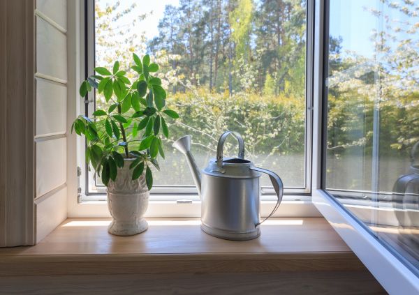Garden Window Repair in Homestead